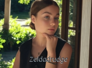 Zeldadrudge