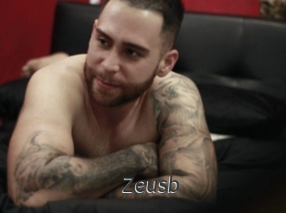 Zeusb