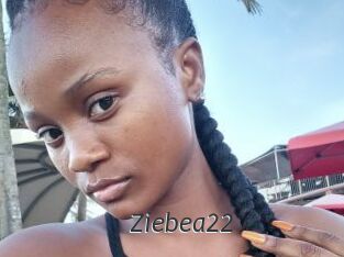 Ziebea22