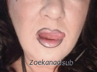 Zoekanaalsub